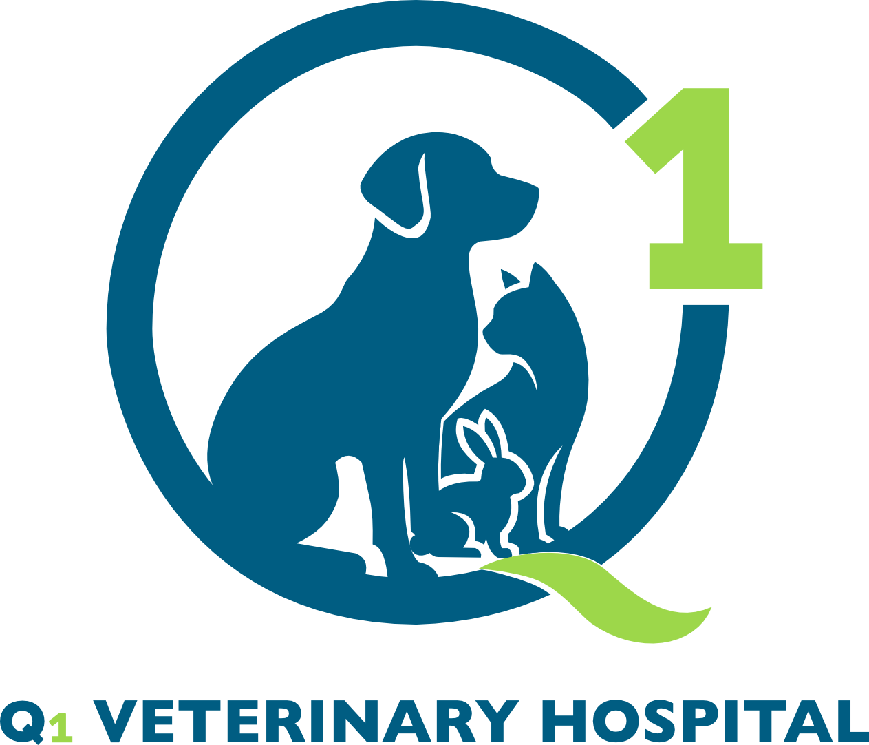 Q1 Veterinary Hospital